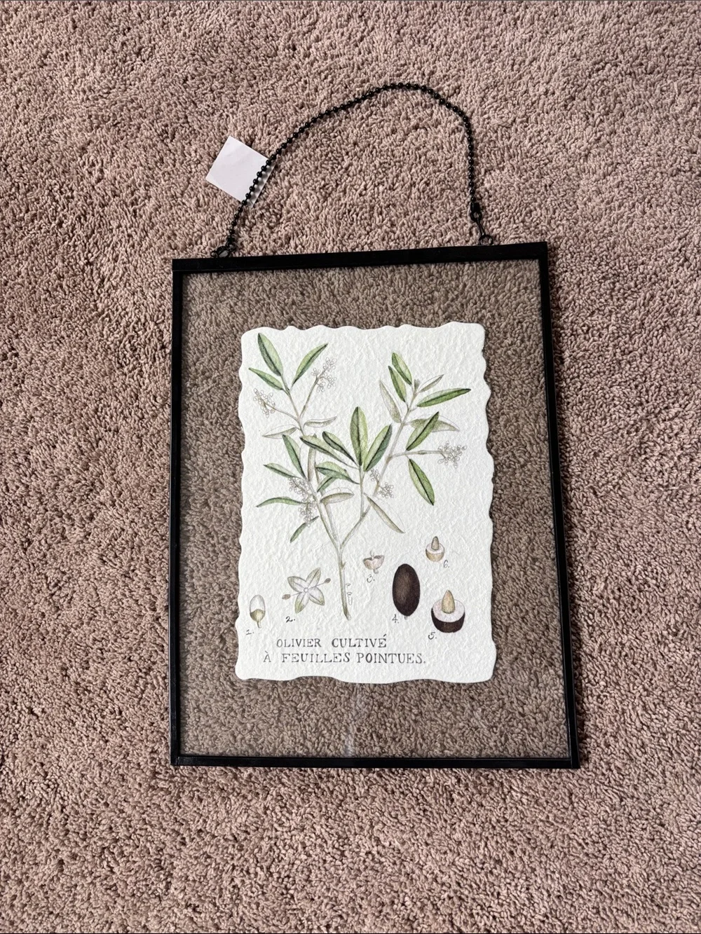 Botanical Olive Branch Wall Art in Black Frame Glass